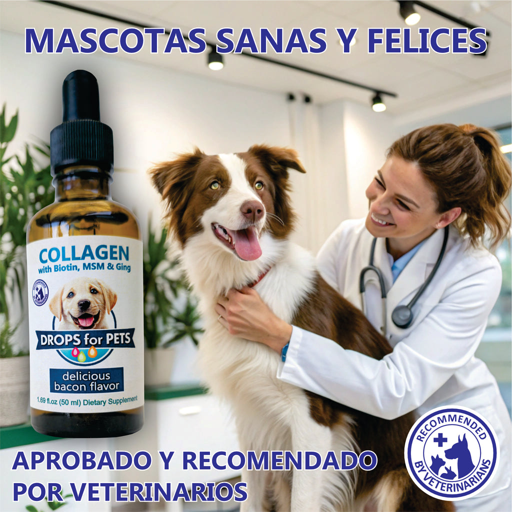 Suplemento Colágeno Perros